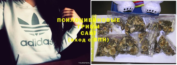 молекула духа Армянск